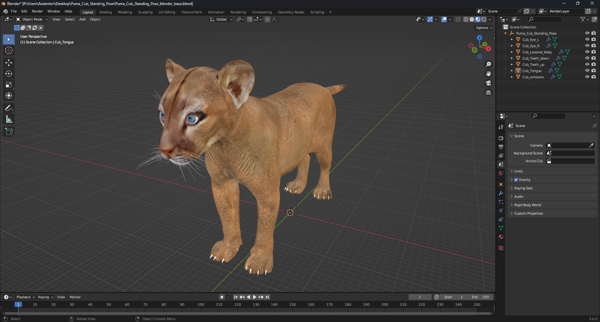 Puma Cub Standing Pose 3D