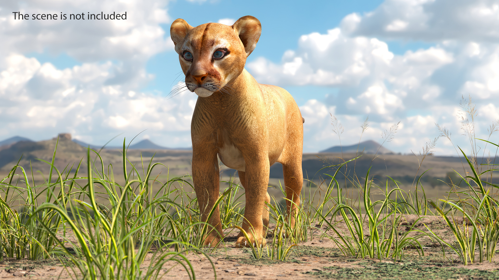 Puma Cub Standing Pose 3D