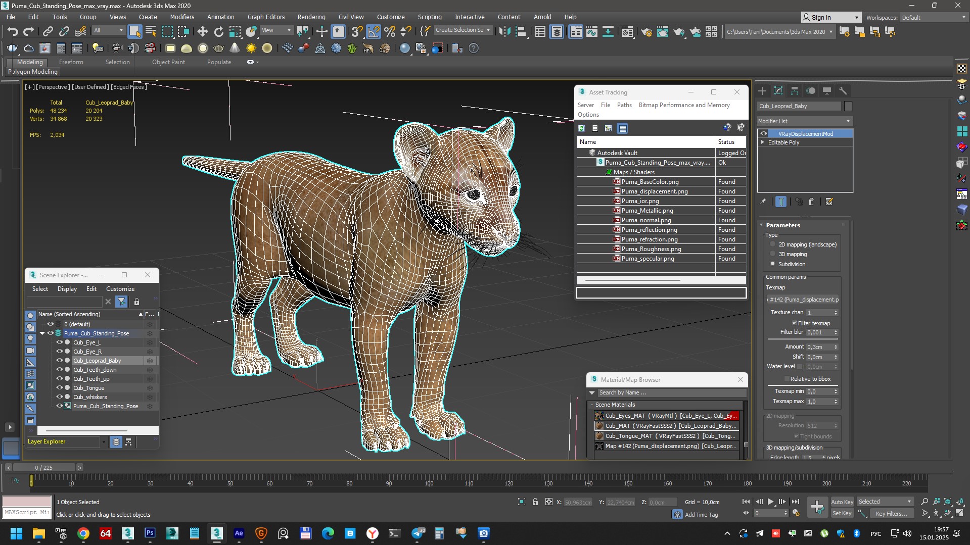 Puma Cub Standing Pose 3D