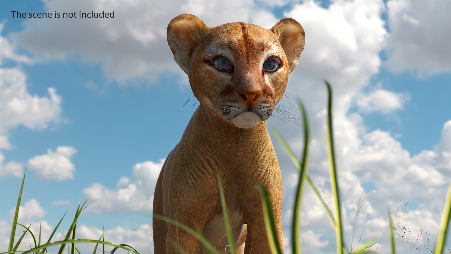 Puma Cub Standing Pose 3D