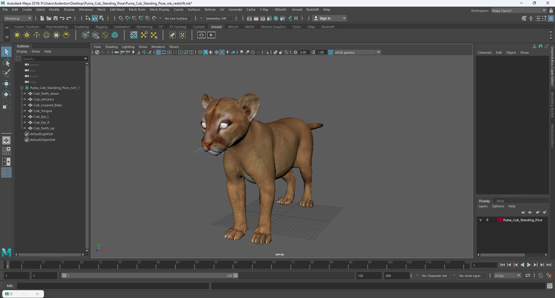 Puma Cub Standing Pose 3D