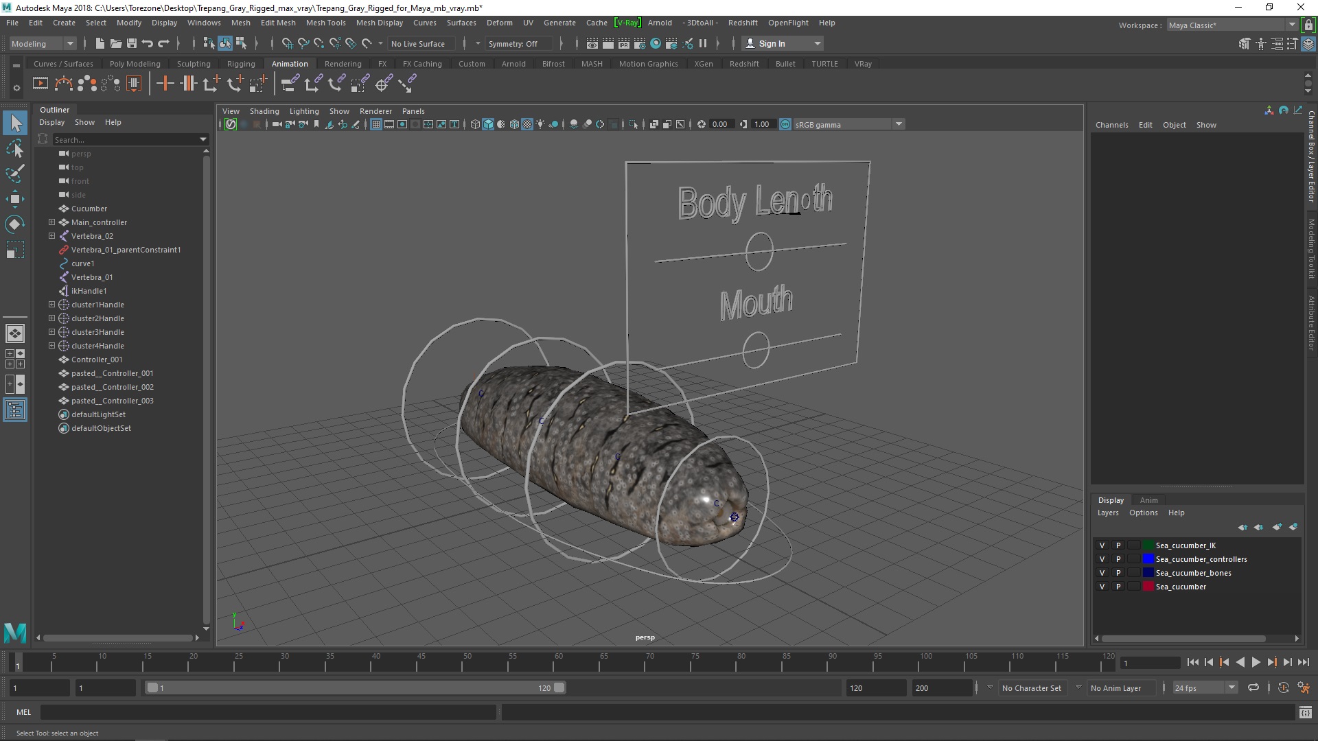 3D Trepang Gray Rigged for Maya model