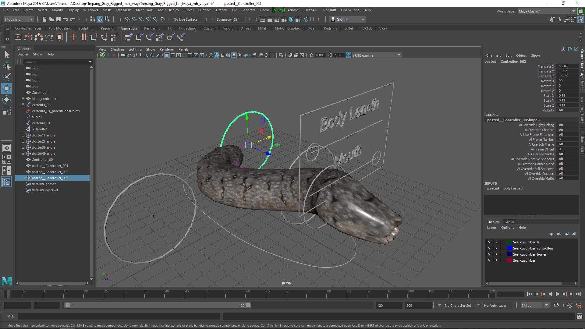 3D Trepang Gray Rigged for Maya model