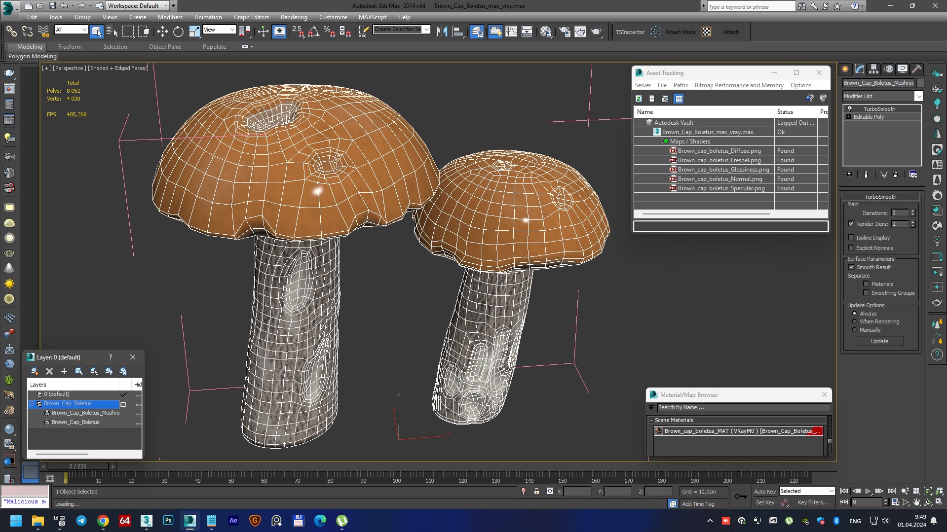 Brown Cap Boletus 3D