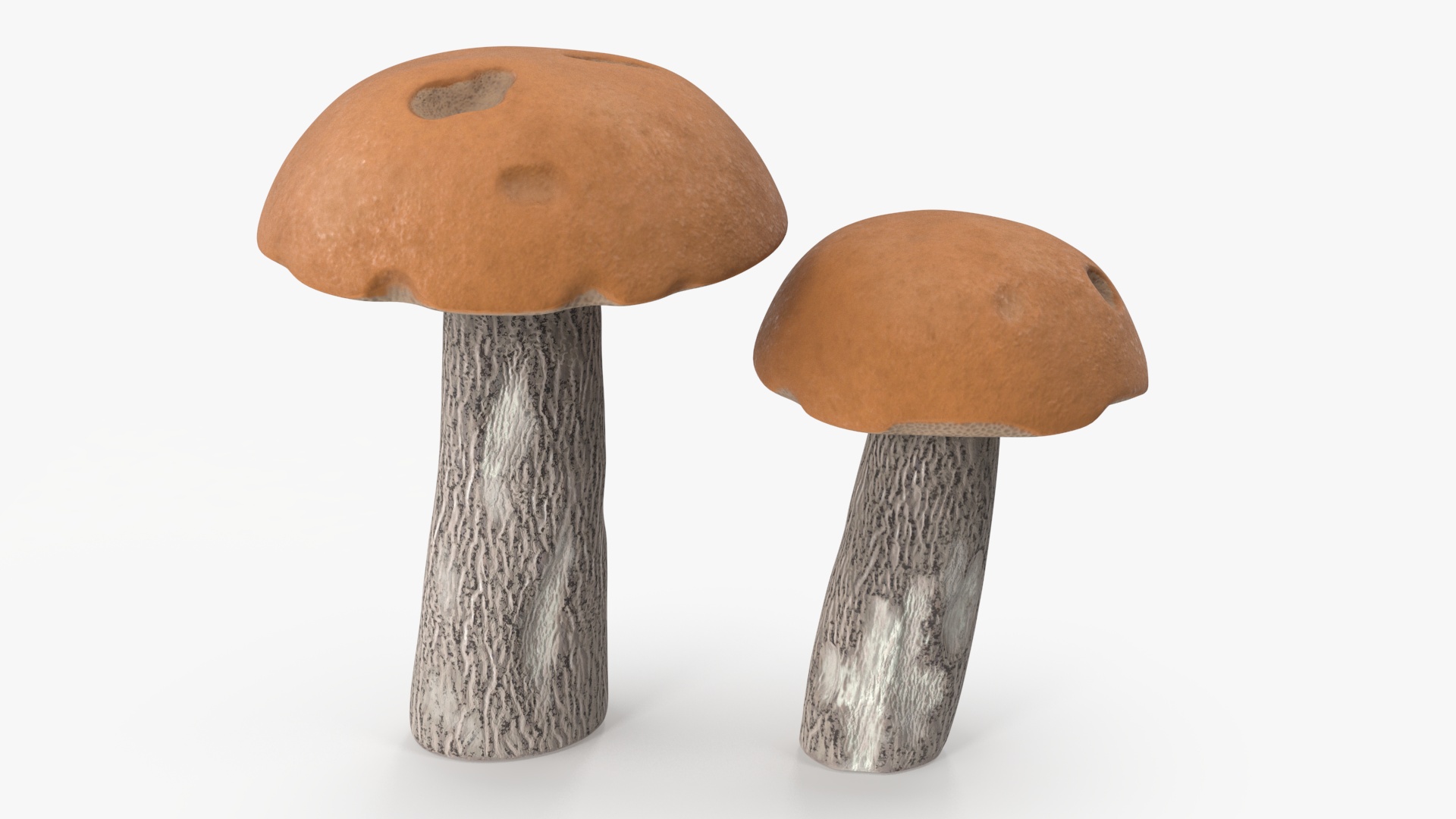 Brown Cap Boletus 3D