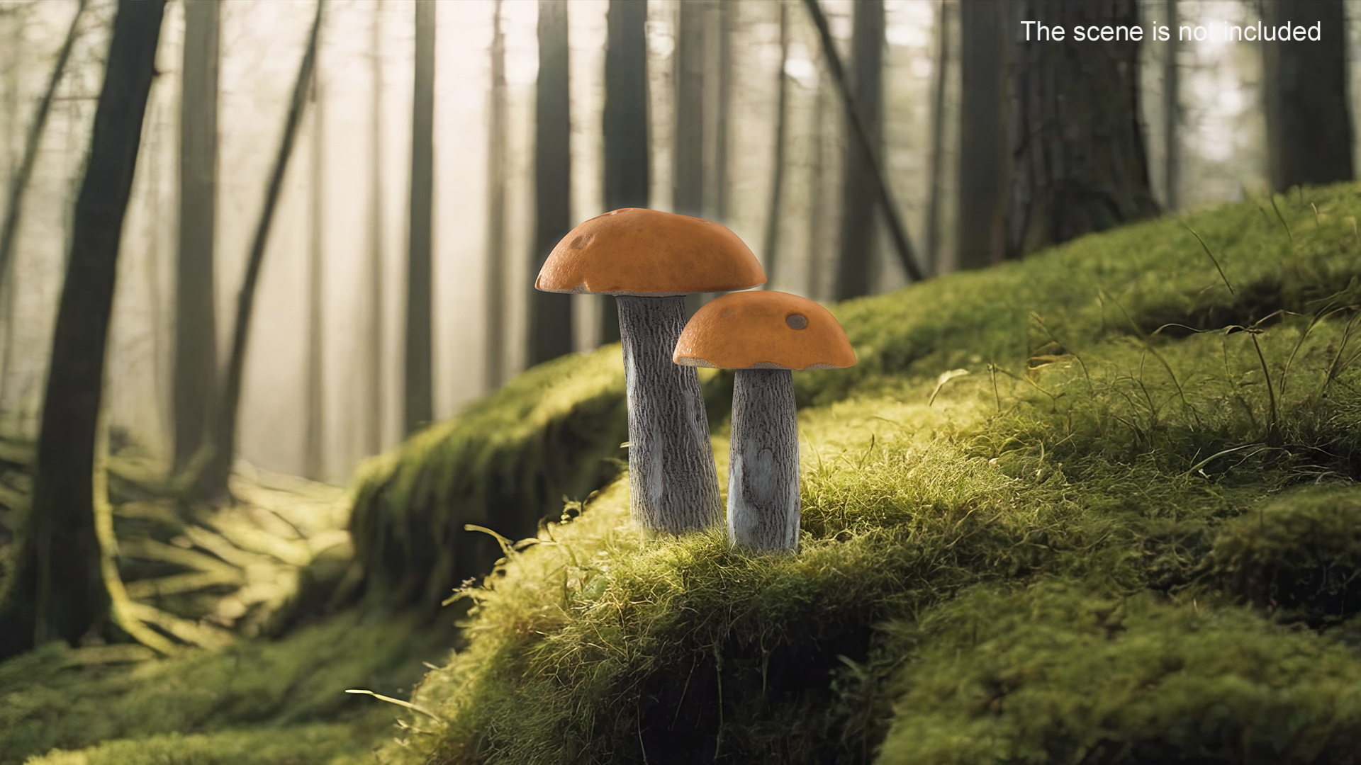 Brown Cap Boletus 3D