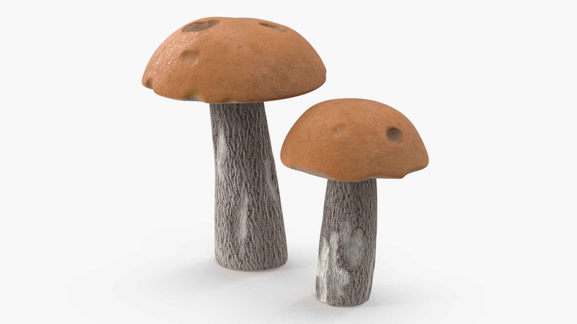 Brown Cap Boletus 3D