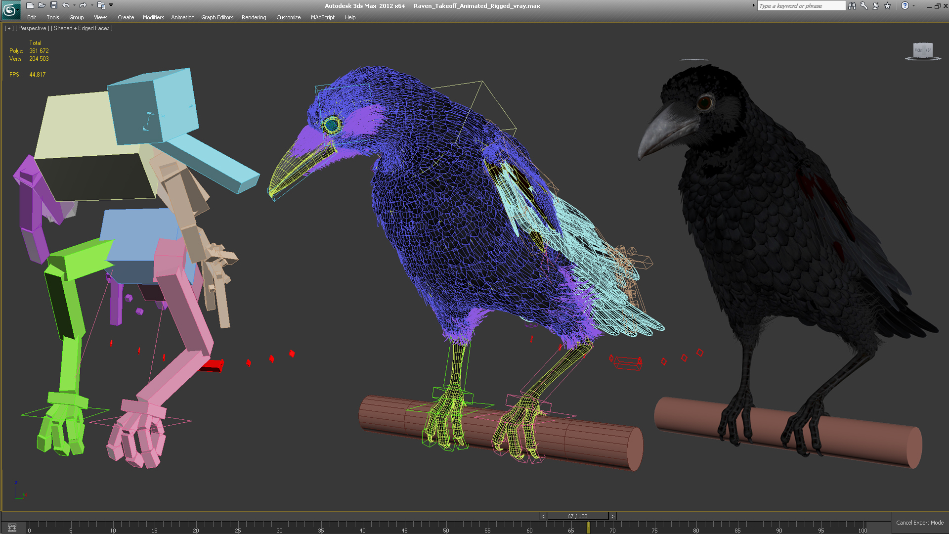 Raven Takeoff Animated Rigged 3D model