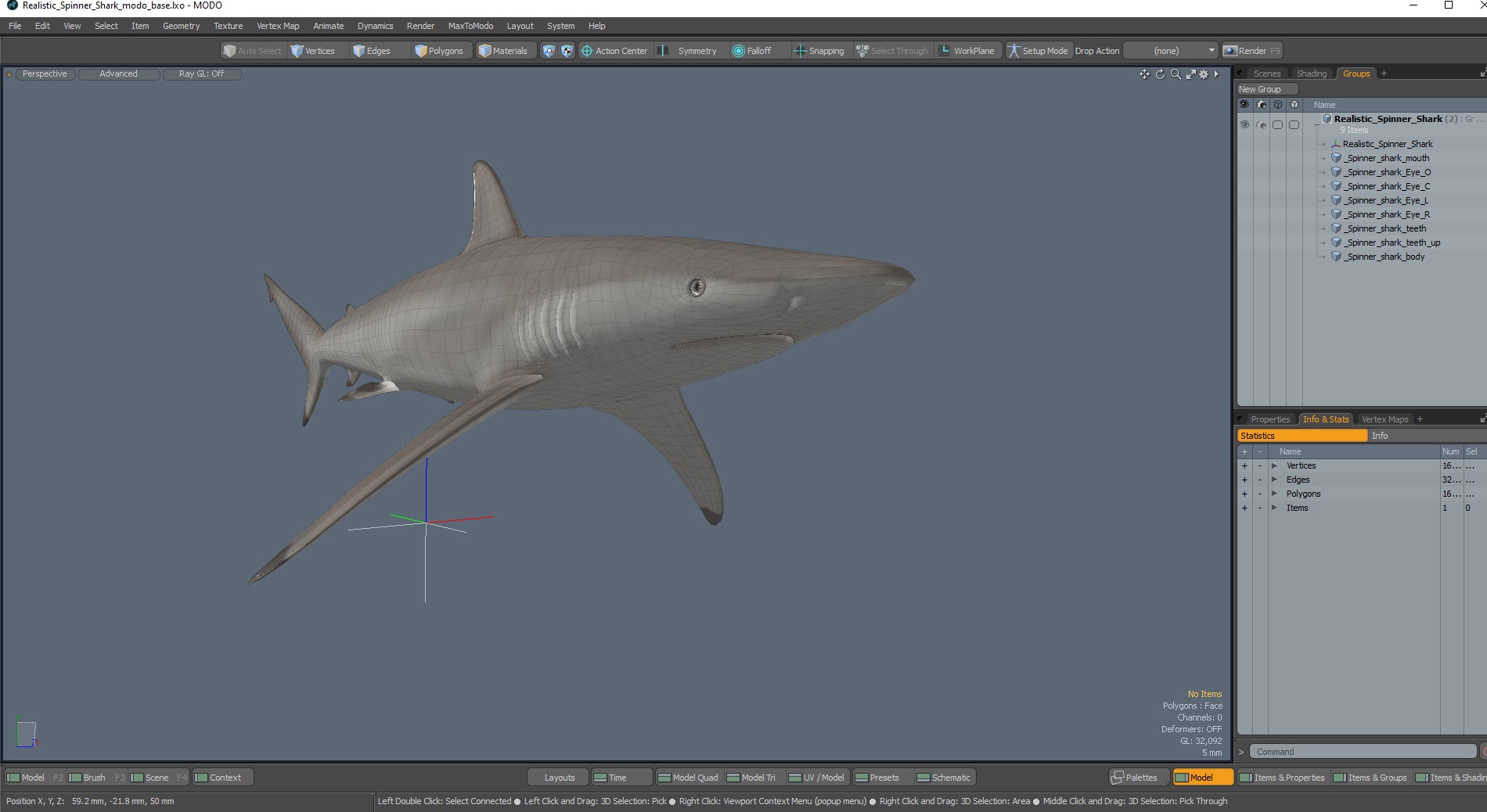 3D Realistic Spinner Shark model