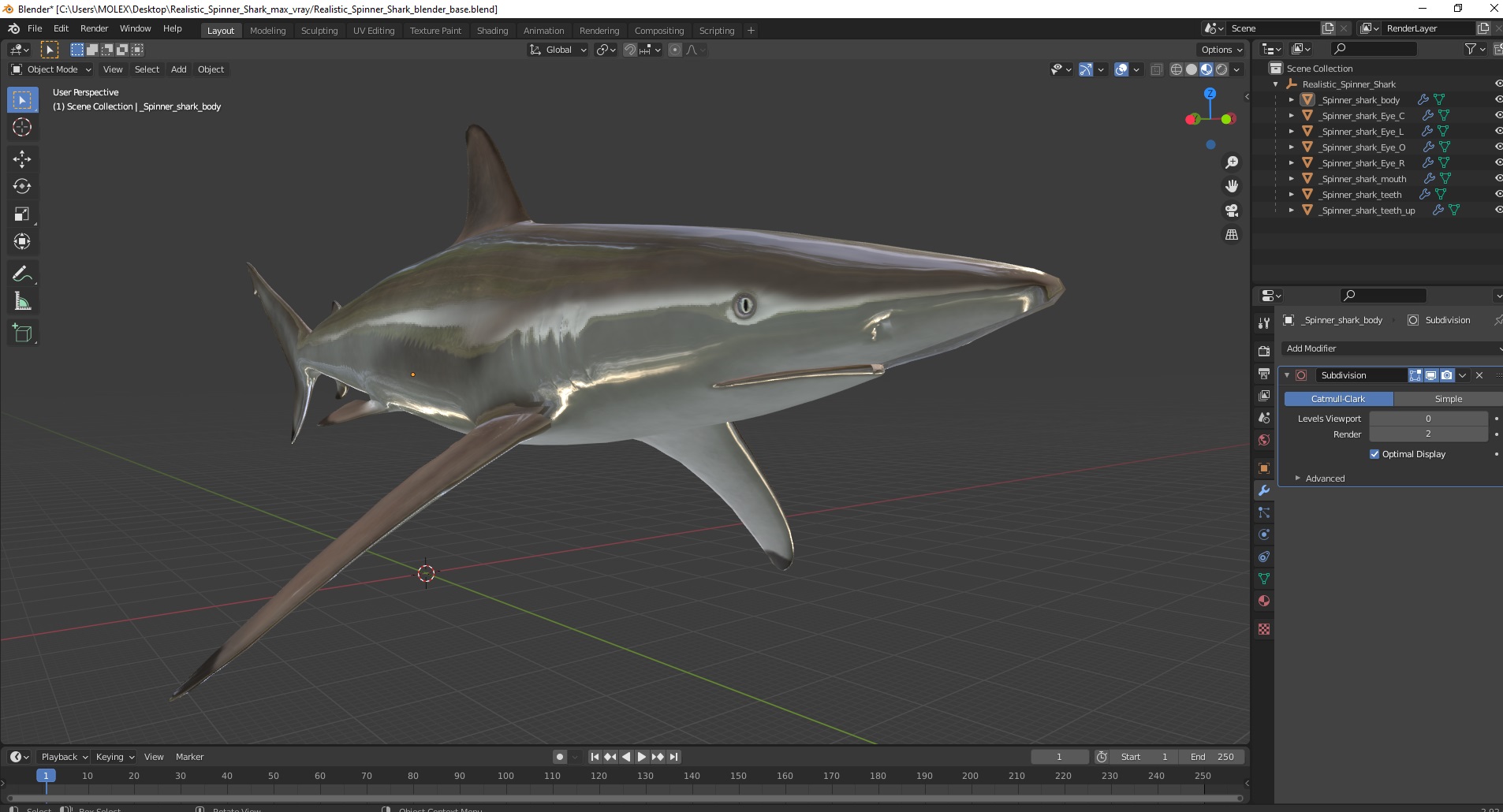 3D Realistic Spinner Shark model