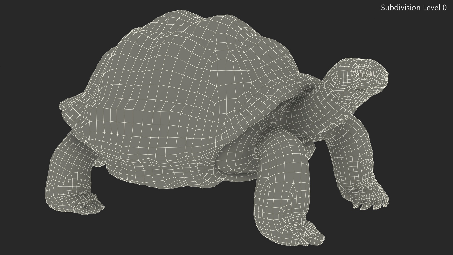 3D Dirty Old Giant Turtle Stand Pose model