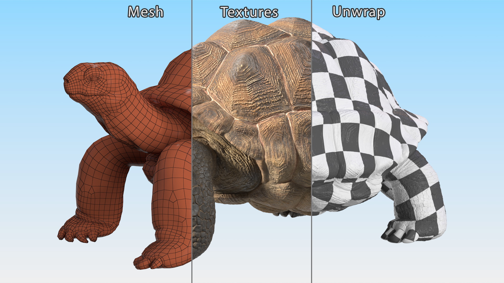 3D Dirty Old Giant Turtle Stand Pose model