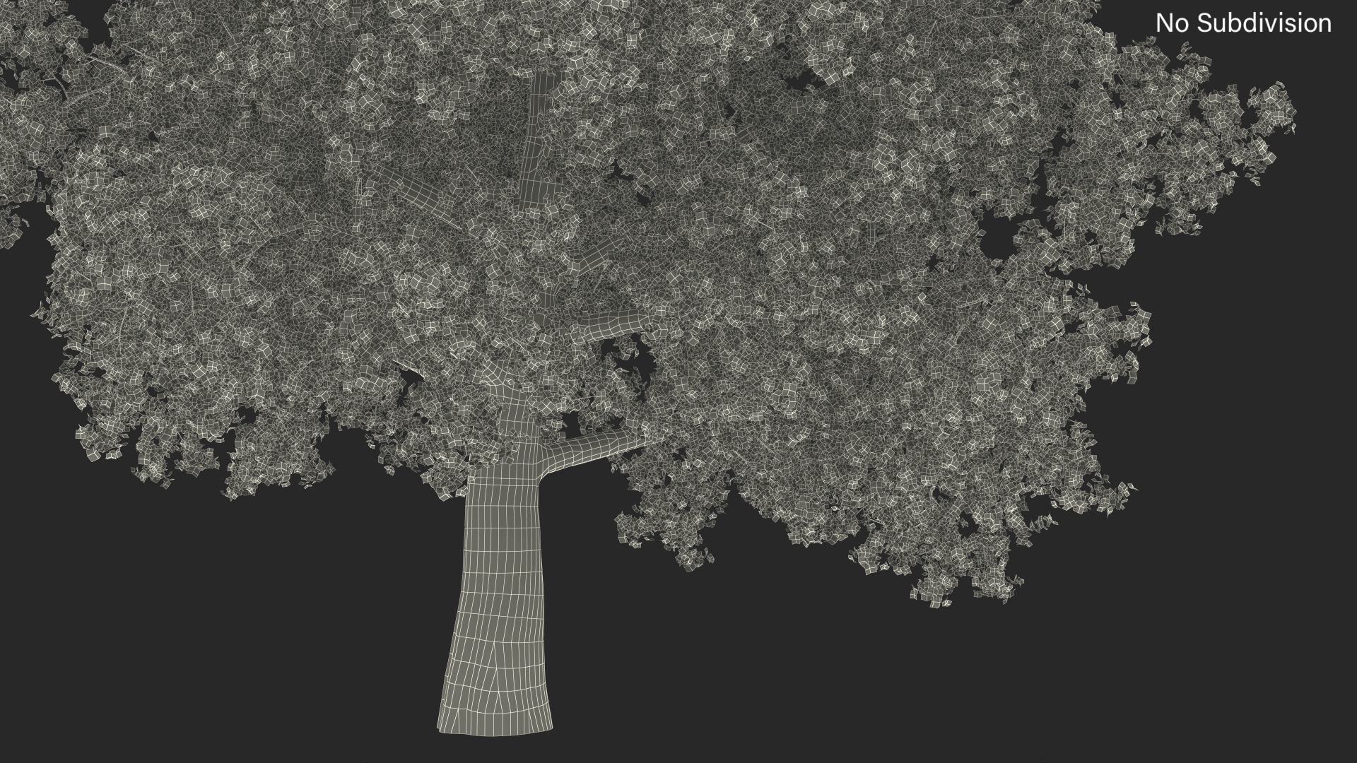 3D Realistic Poplar Tree