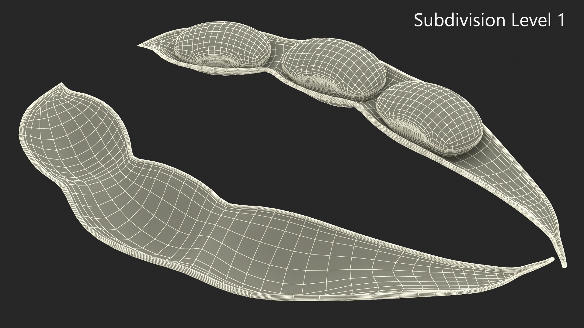 Green Soybean Pod Open 3D