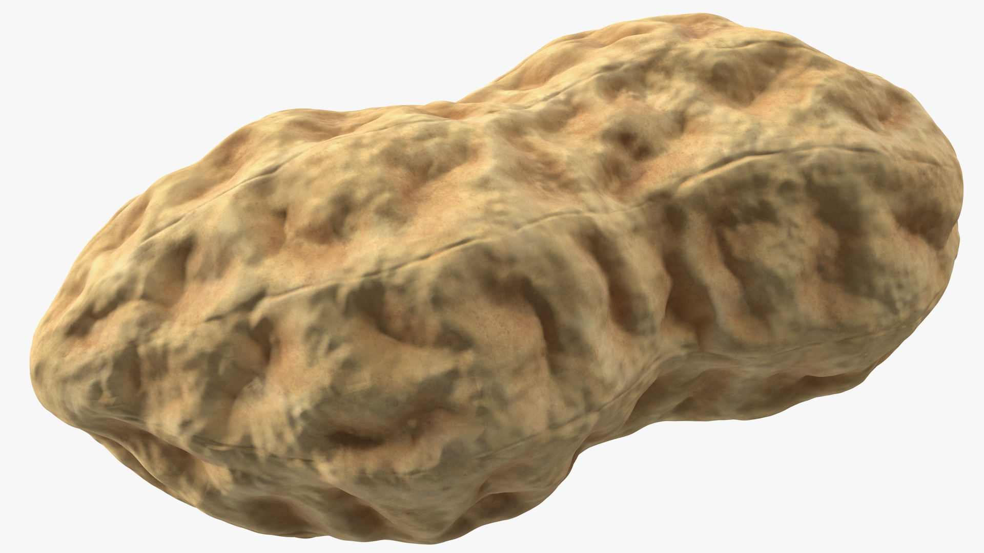 3D Whole Peanuts model