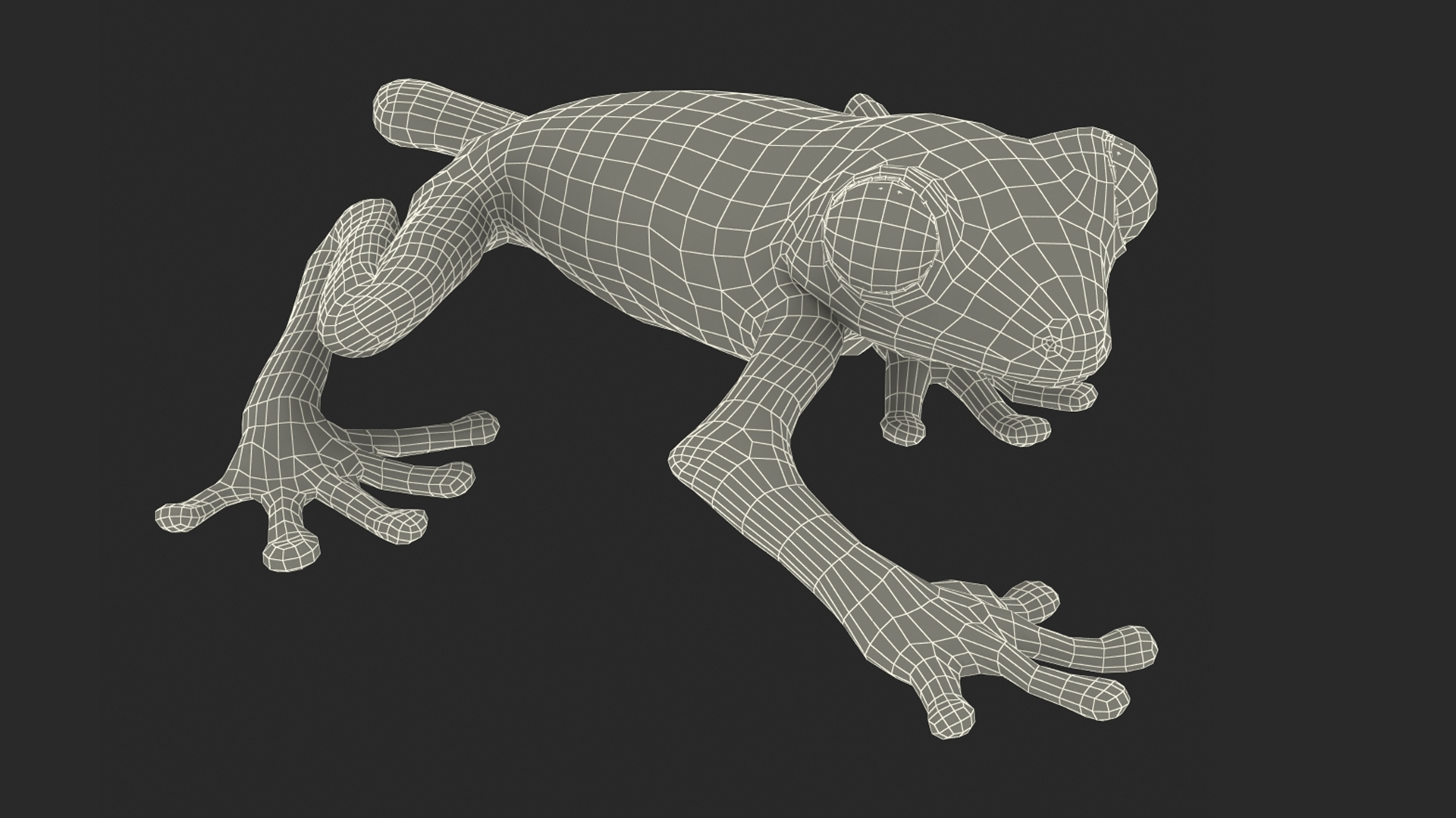 3D model Realistic Tree Frog Rigged for Cinema 4D