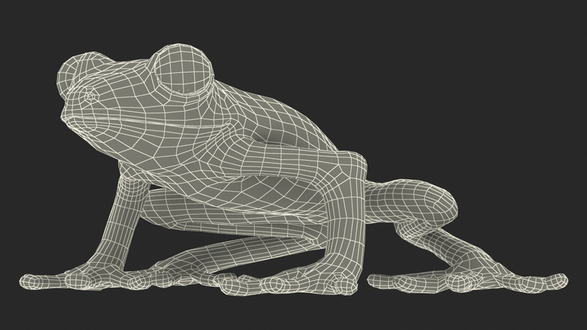 3D model Realistic Tree Frog Rigged for Cinema 4D