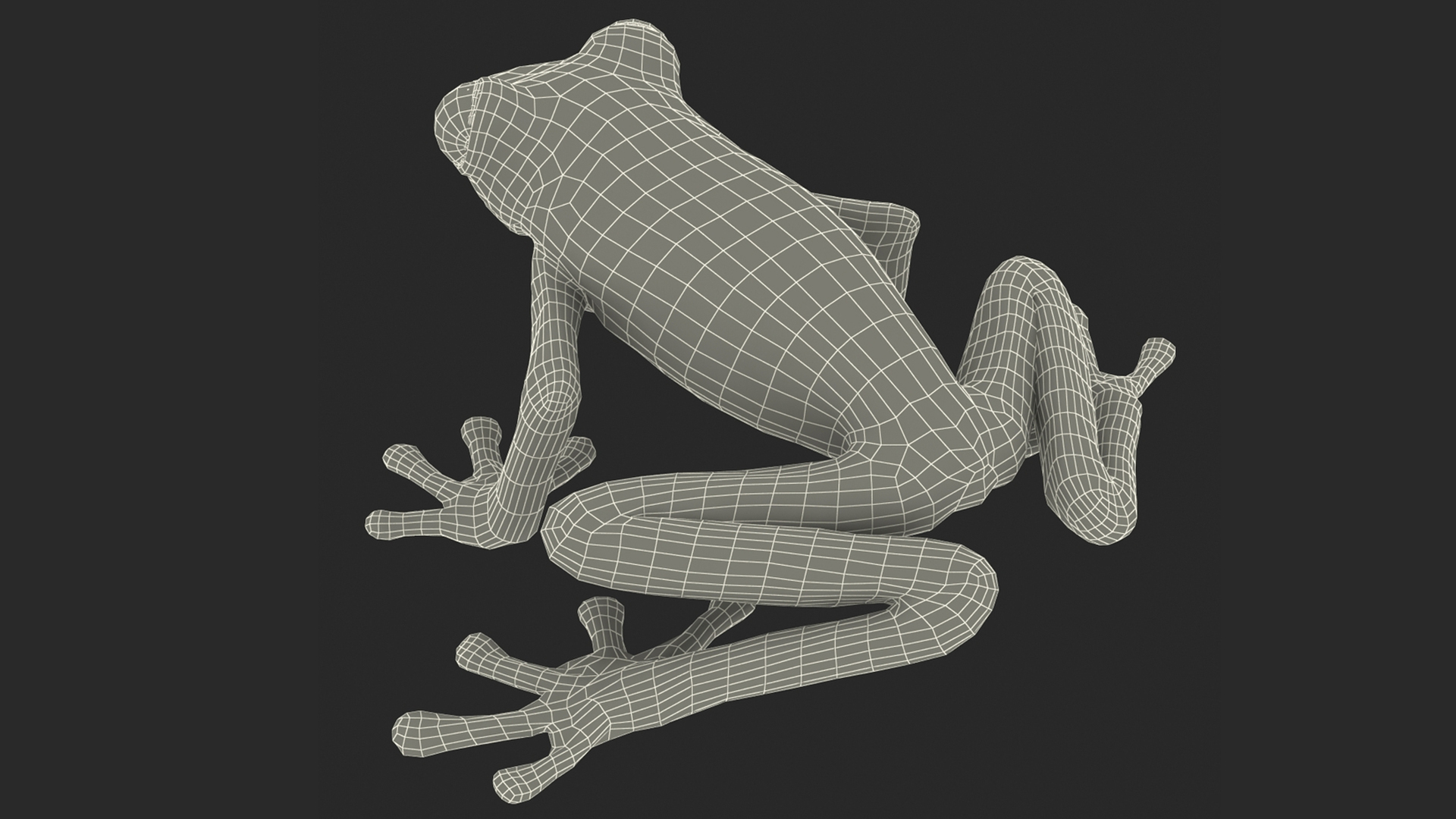 3D model Realistic Tree Frog Rigged for Cinema 4D