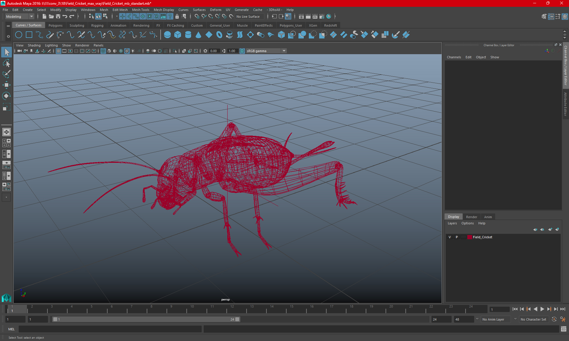 3D Field Cricket model