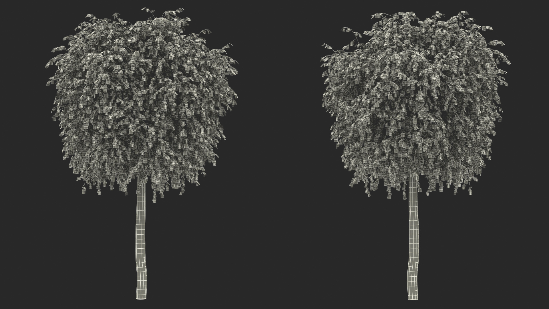 3D Small Birch Tree Yellow model