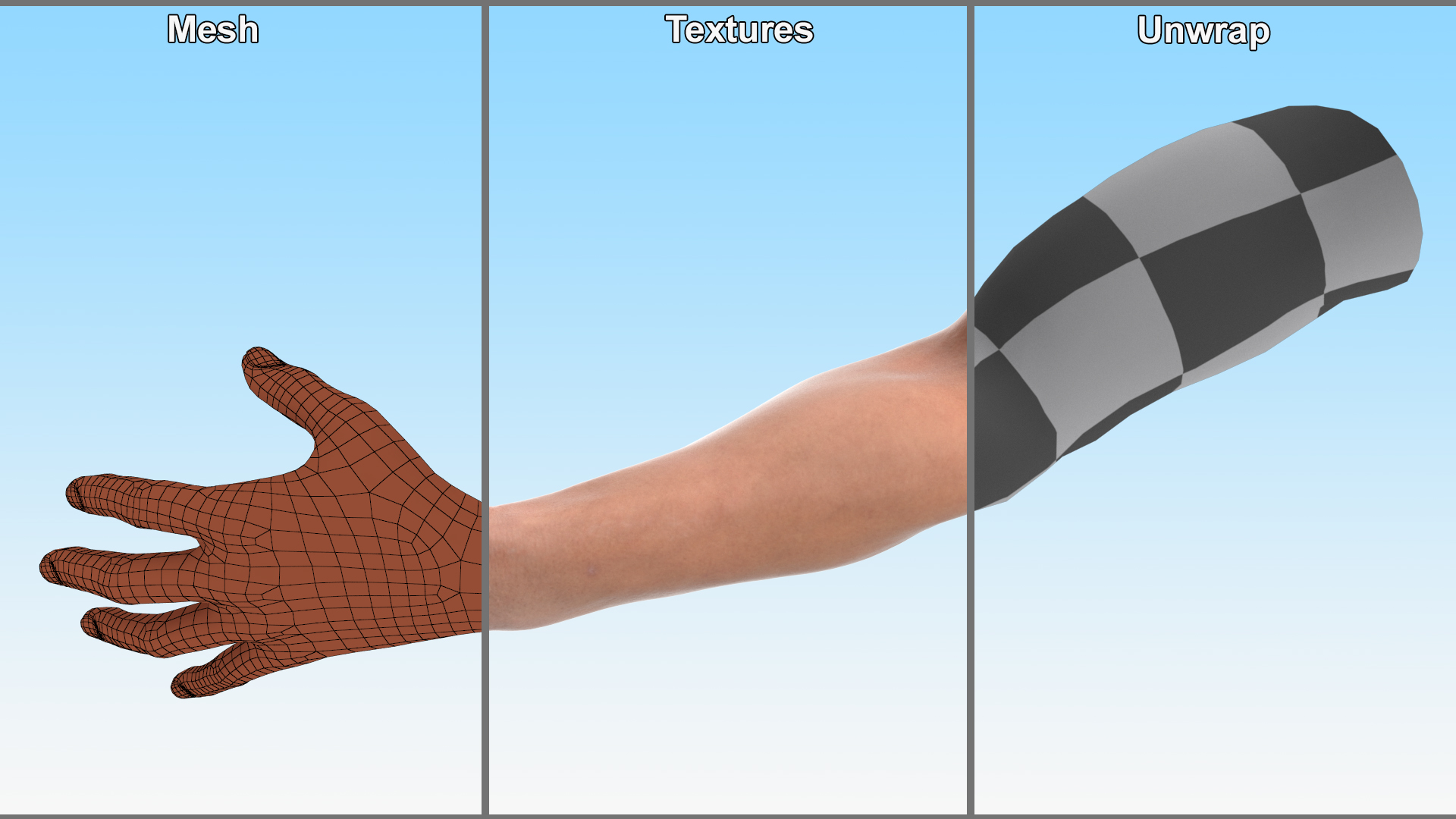 Athletic Male Arm 3D