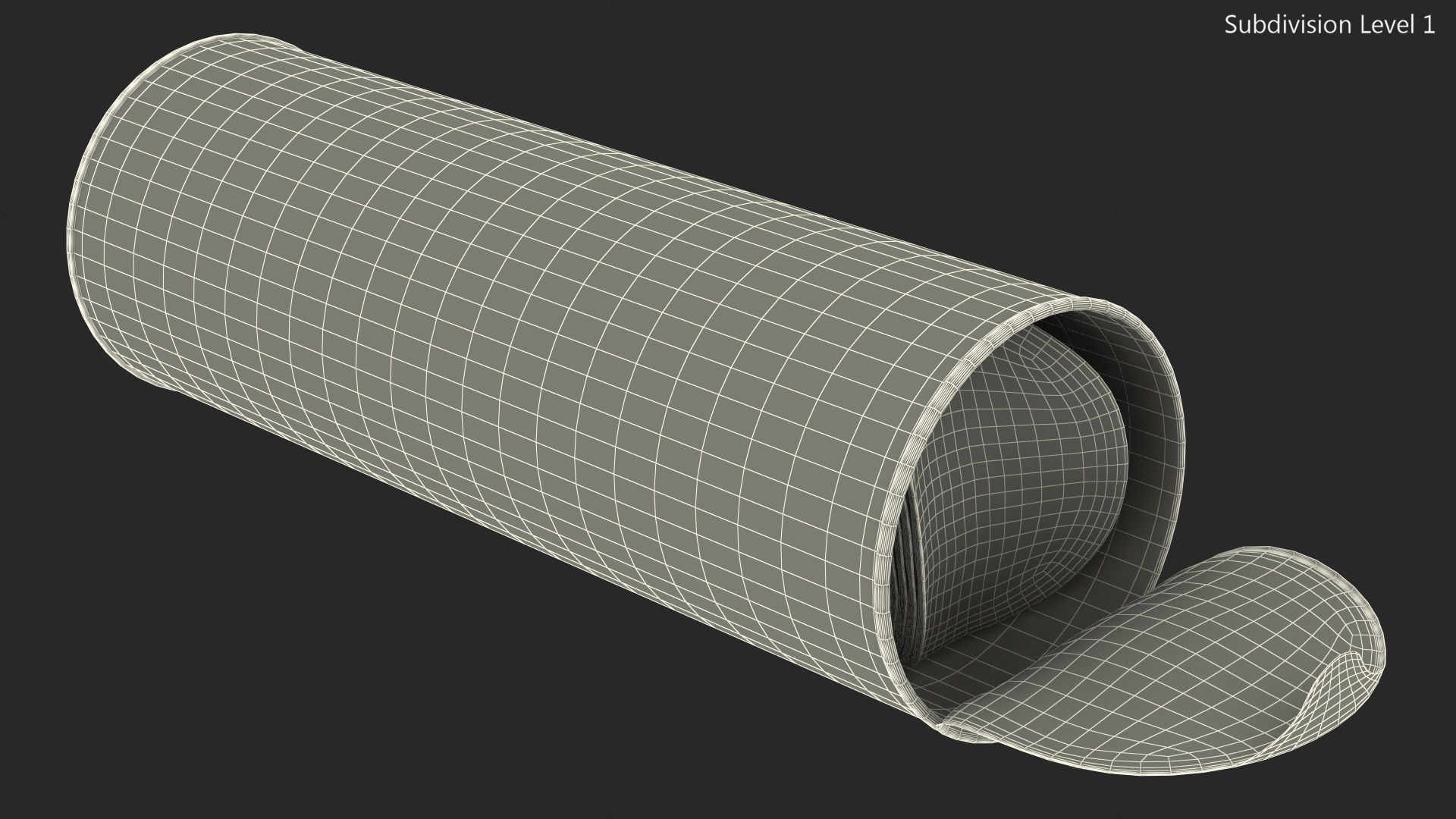 Opened Foil Tube with Potato Chips 3D model