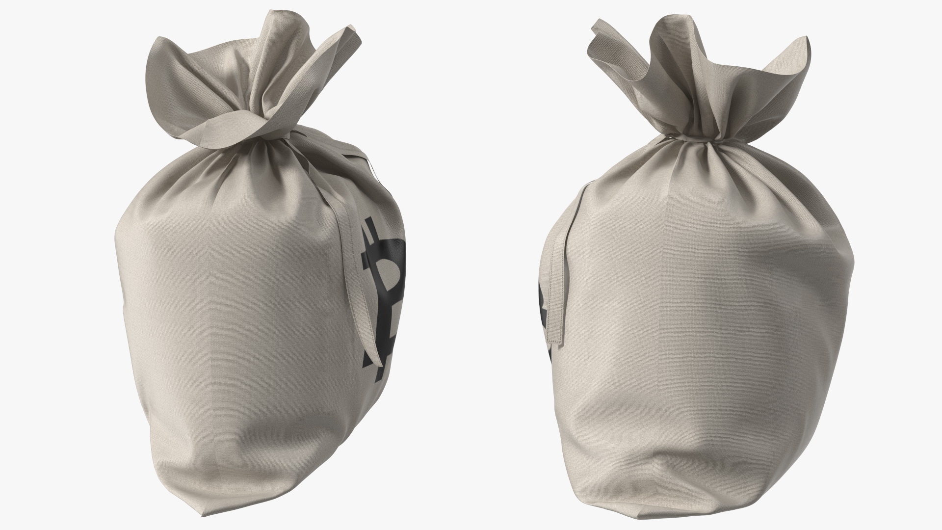 Money Bag Bitcoin 3D