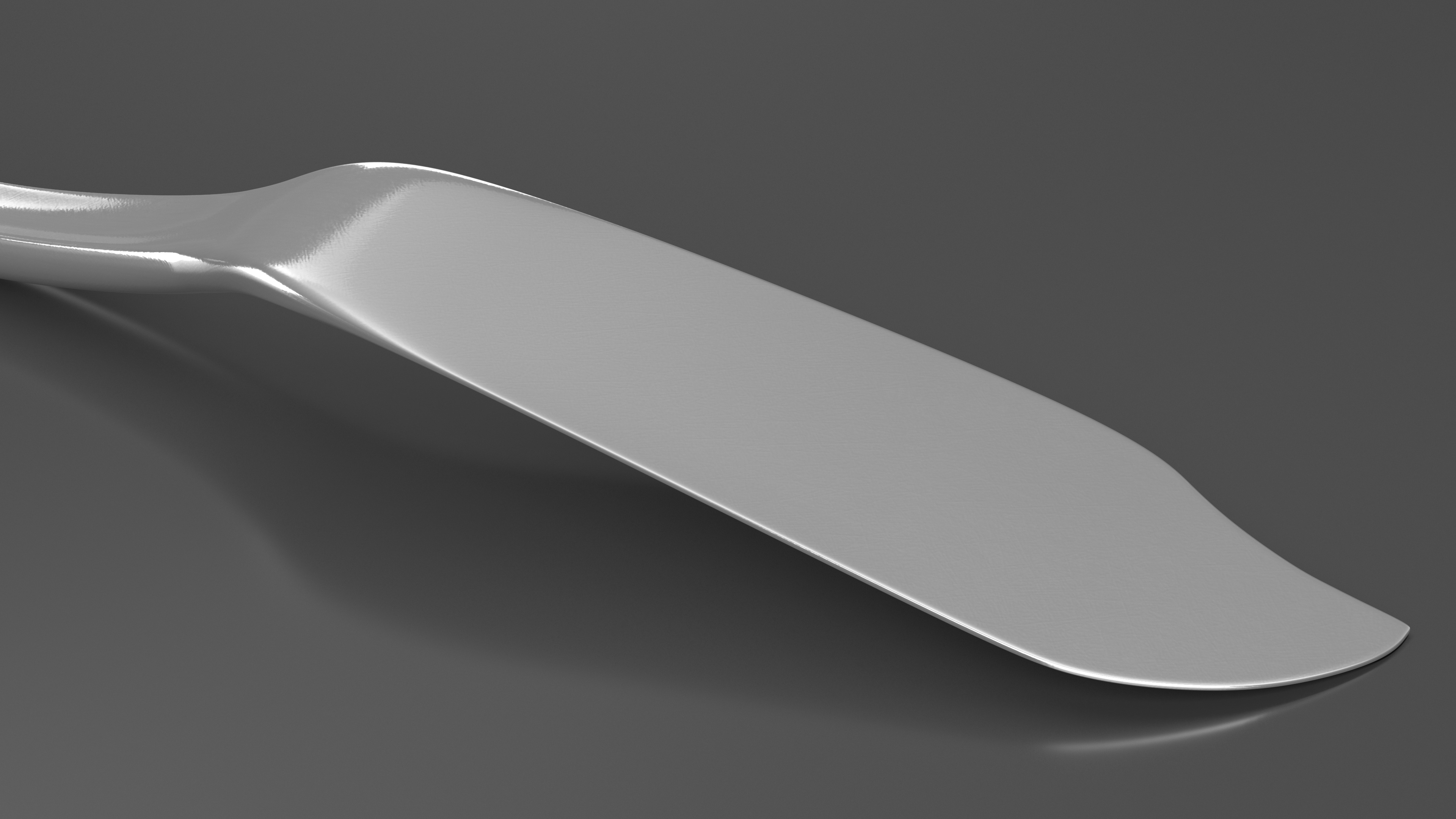 Fish Knife Silver 3D