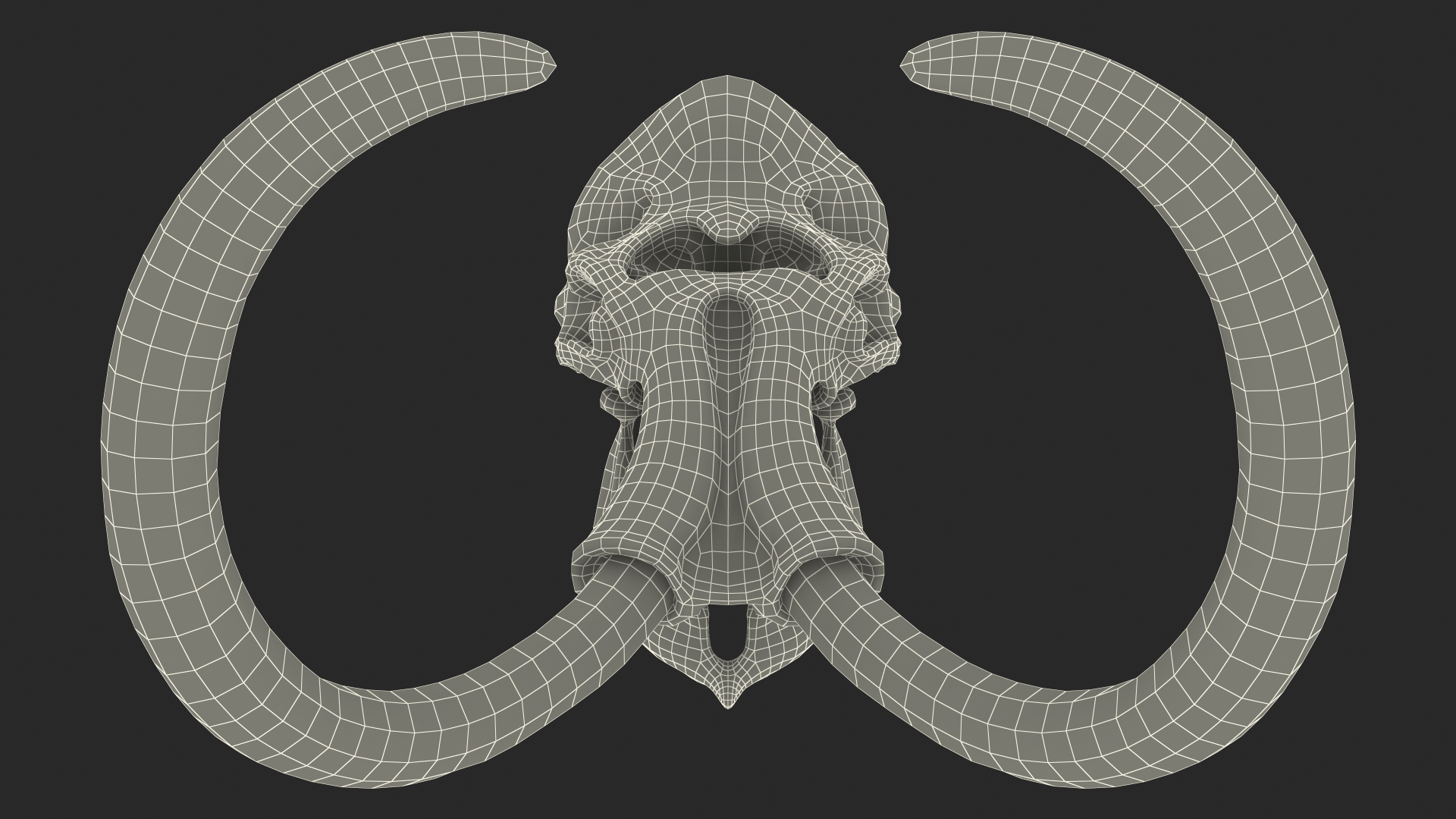 3D Mammoth Skull Old Bones model