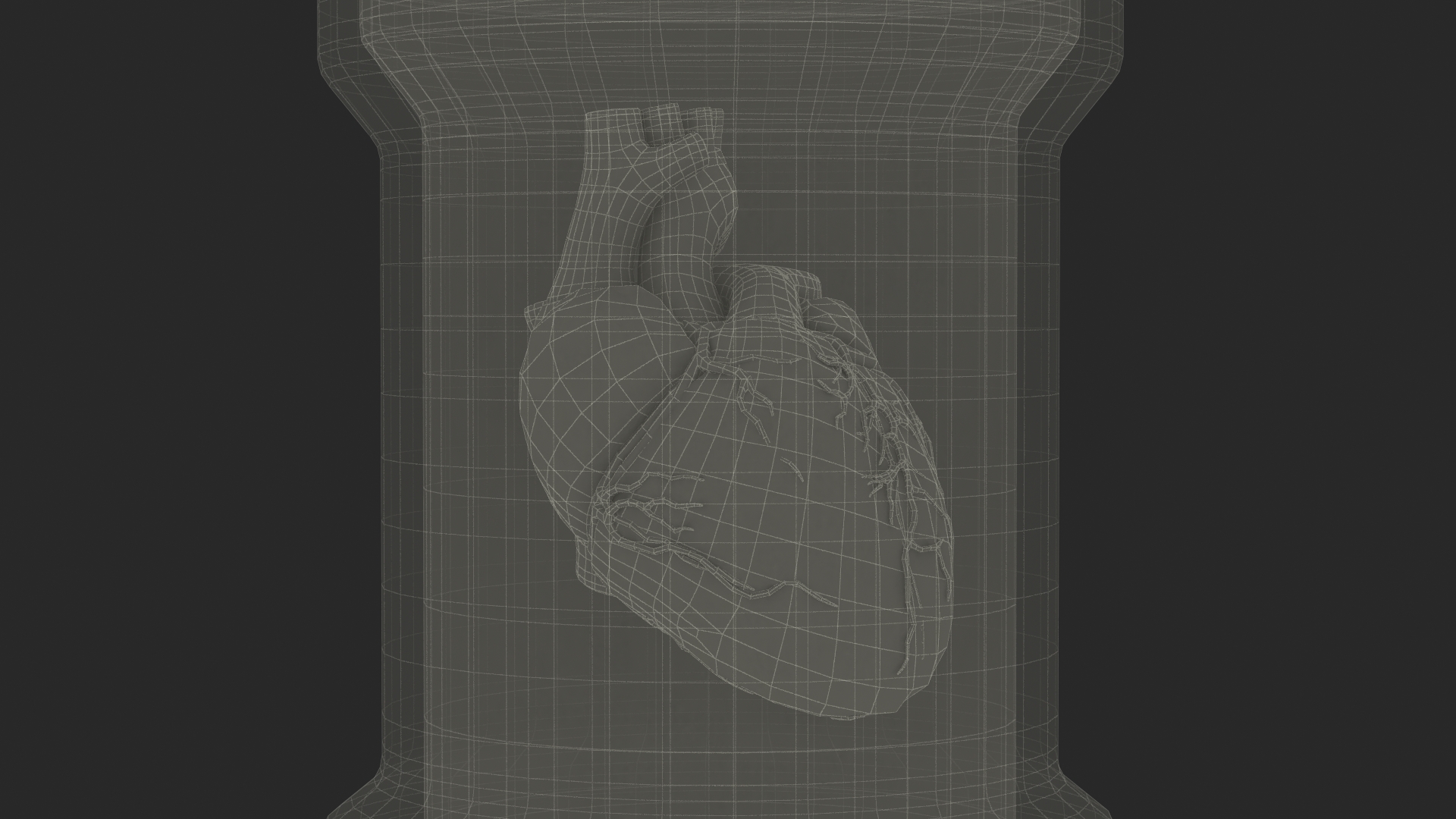 Human Heart in Glass Jar 3D model