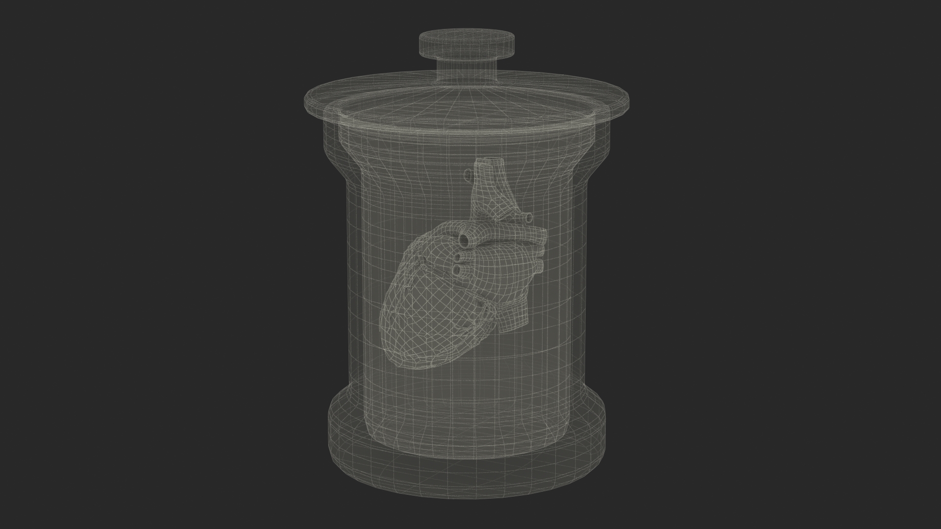 Human Heart in Glass Jar 3D model