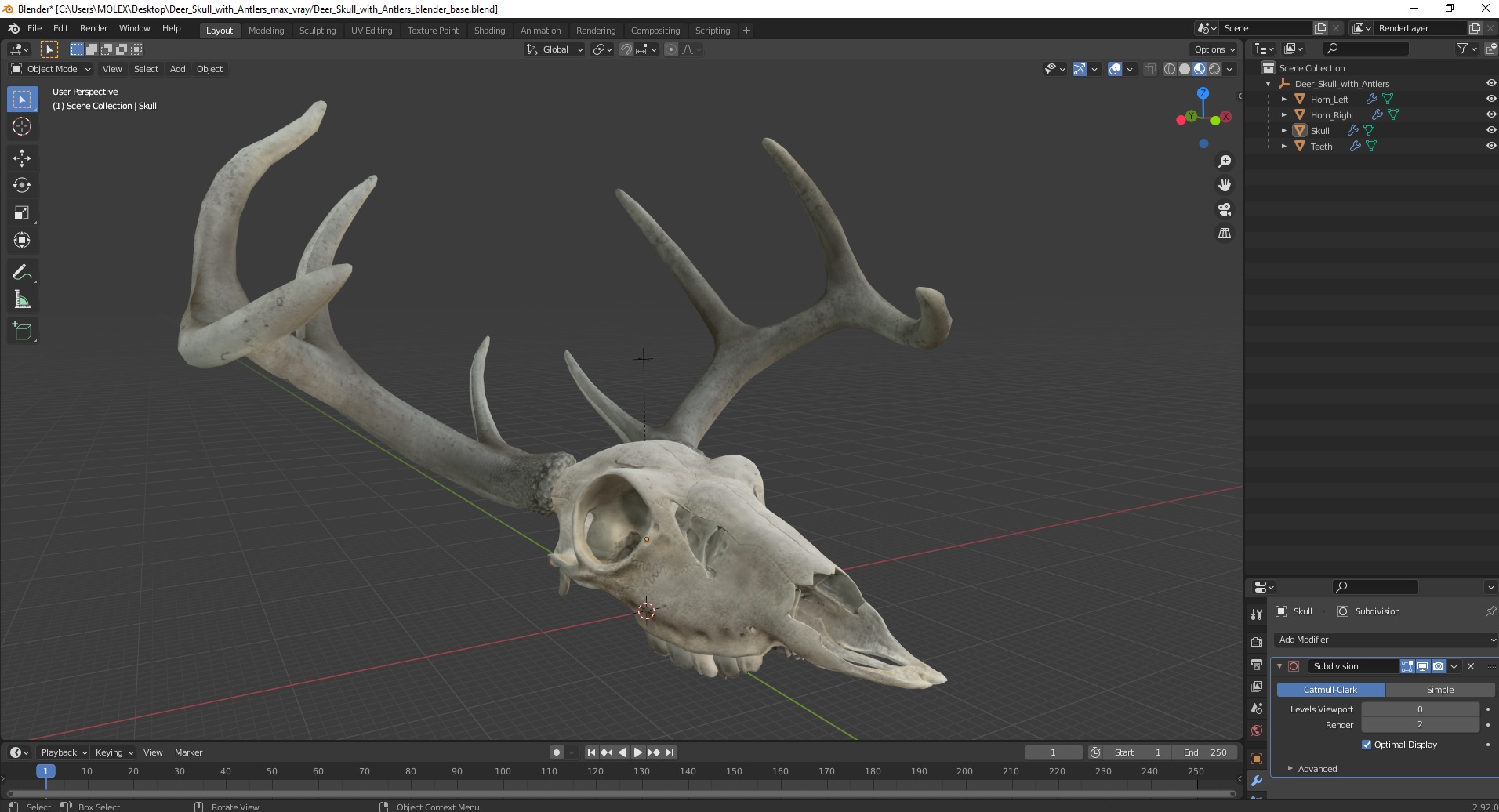 3D Deer Skull with Antlers model