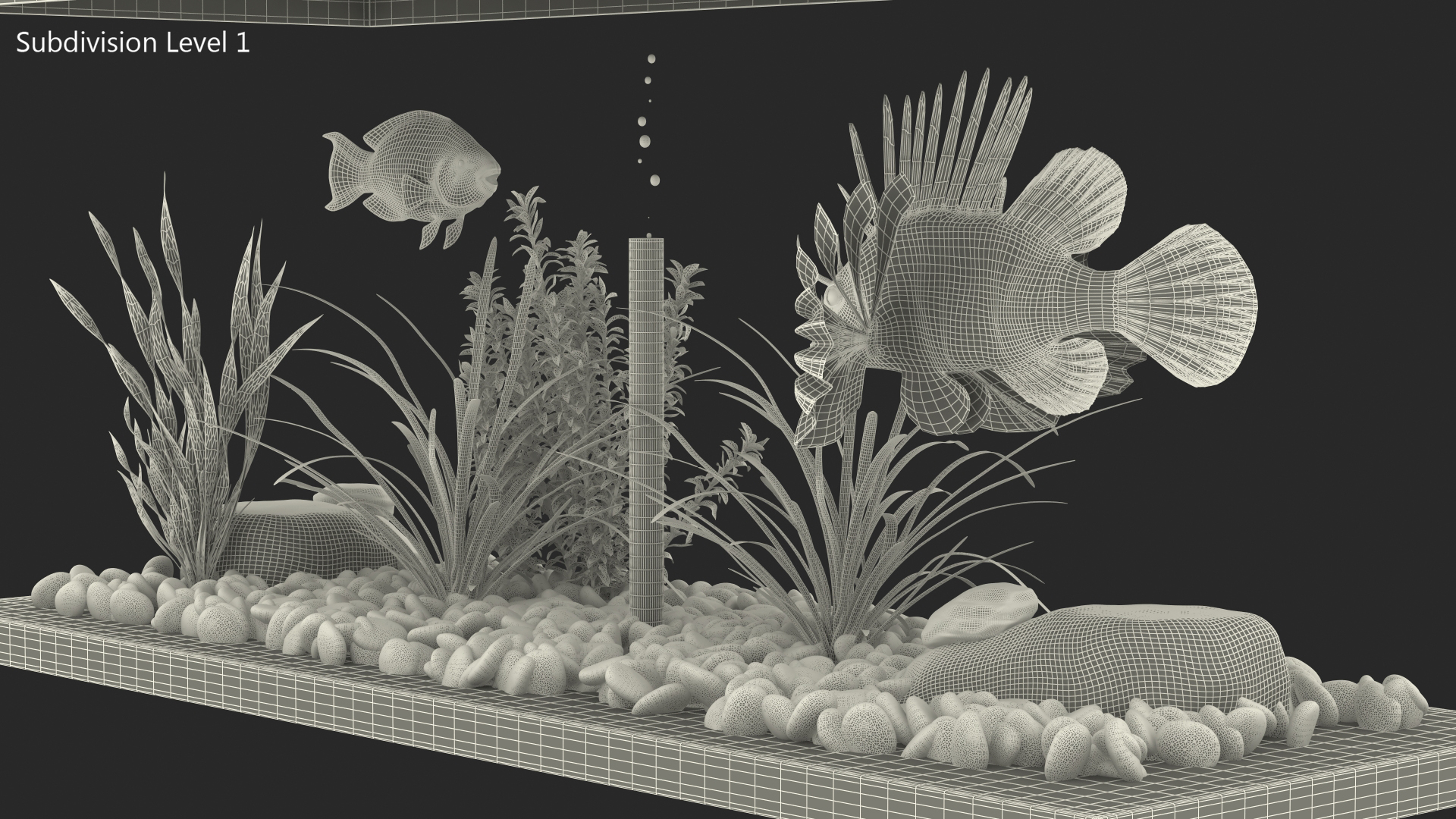 3D Fish Tank Wooden Long