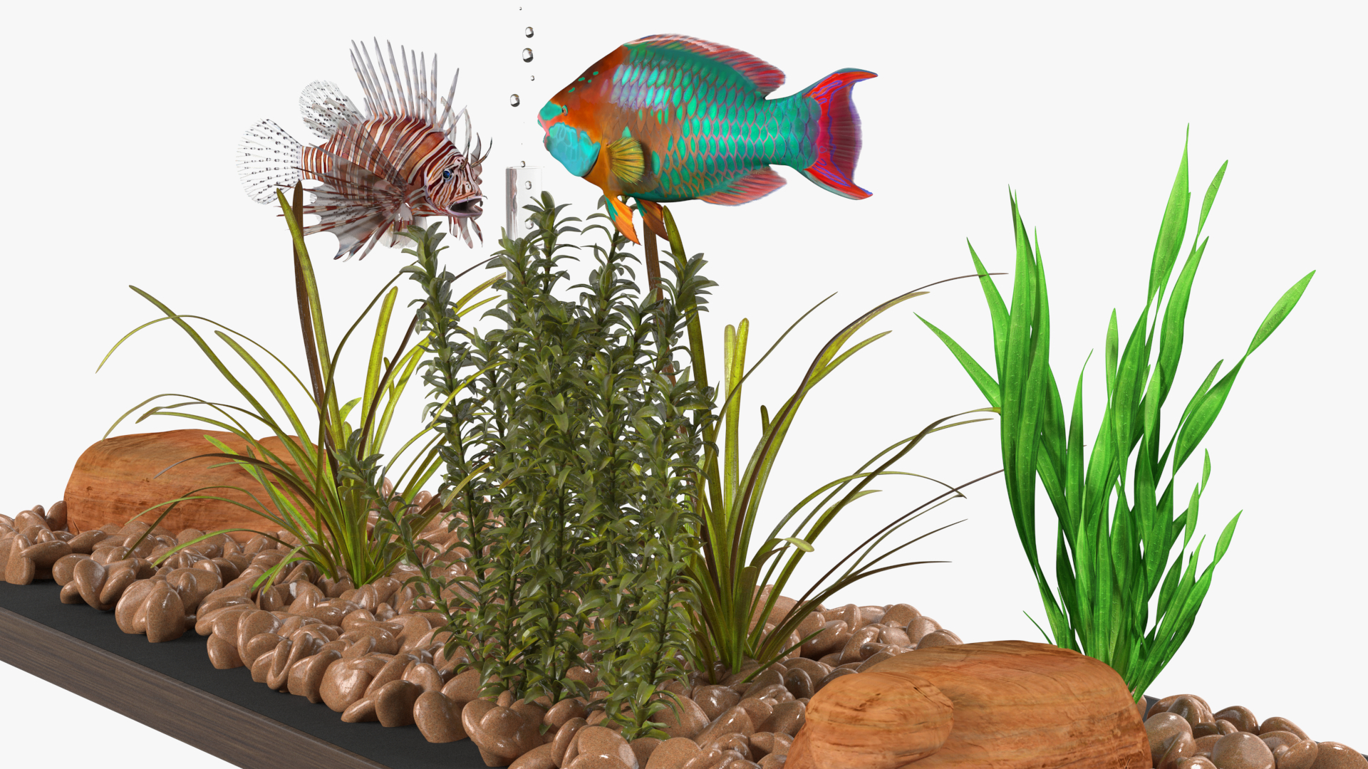 3D Fish Tank Wooden Long