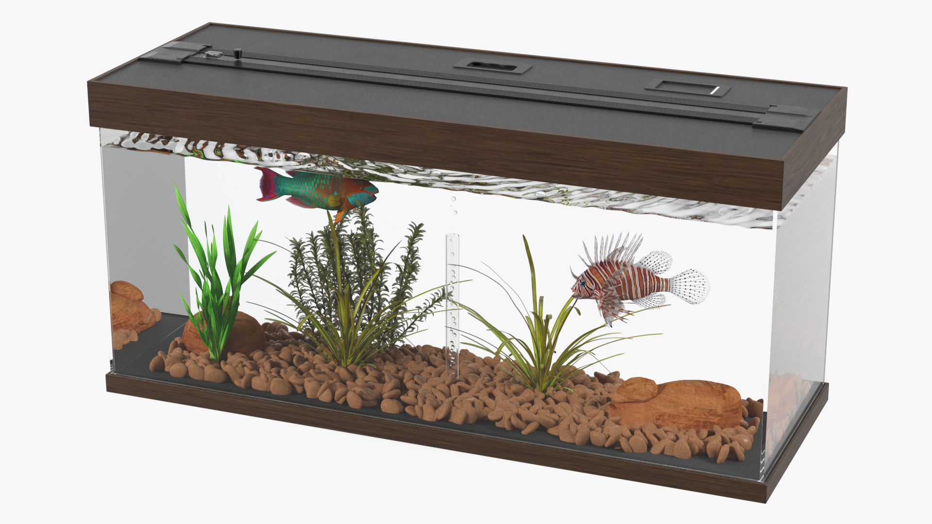 3D Fish Tank Wooden Long