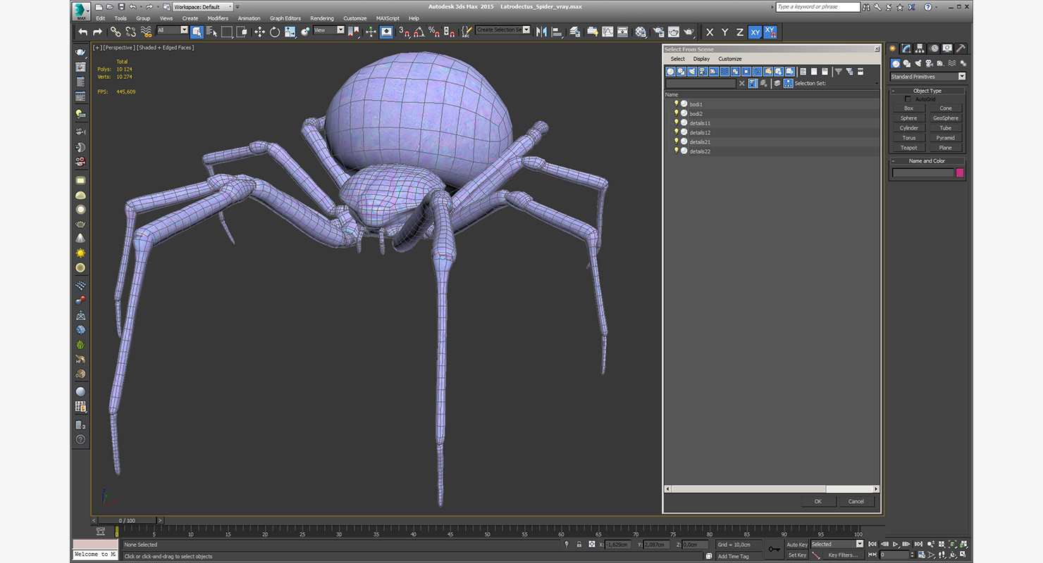 3D Latrodectus Spider model