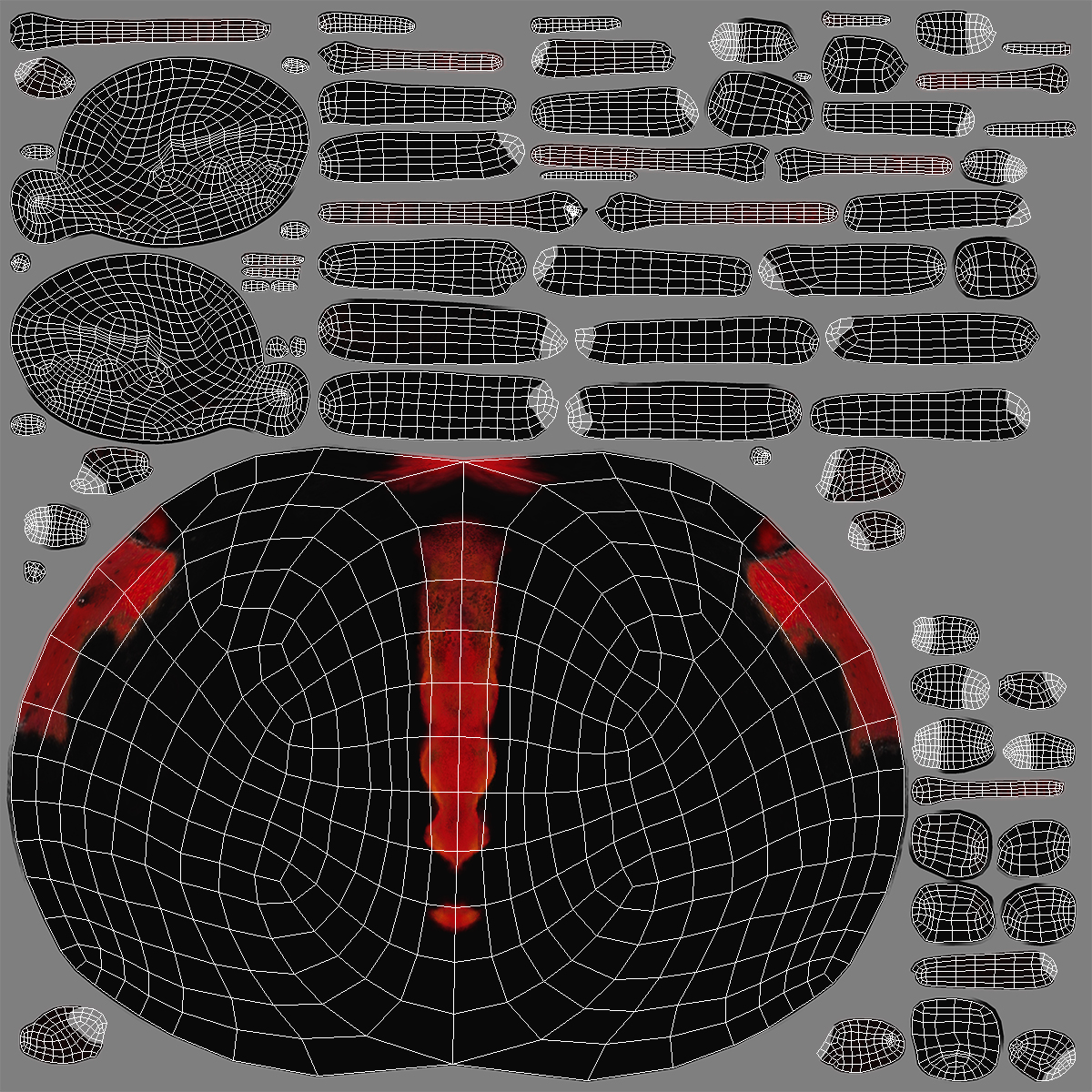 3D Latrodectus Spider model