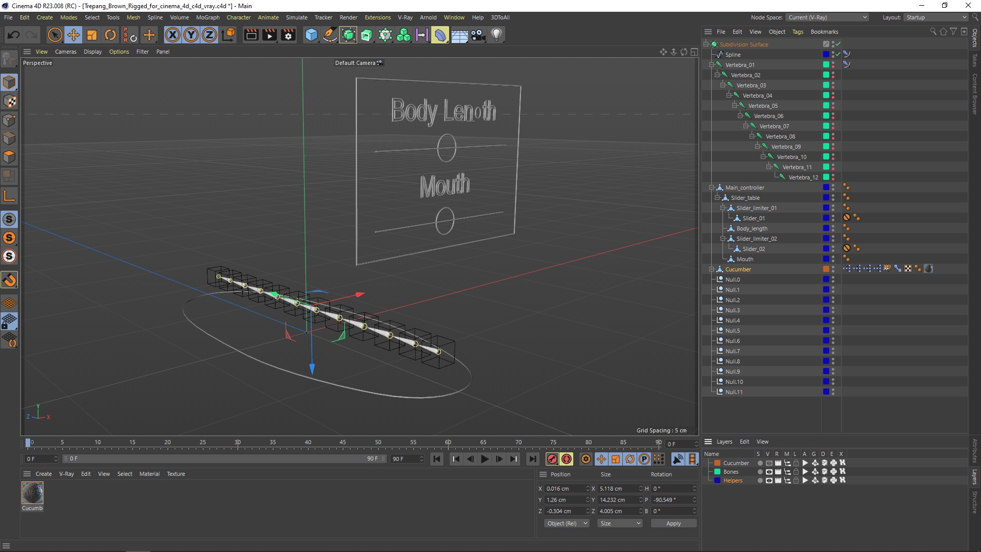 Trepang Brown Rigged for Cinema 4D 3D model