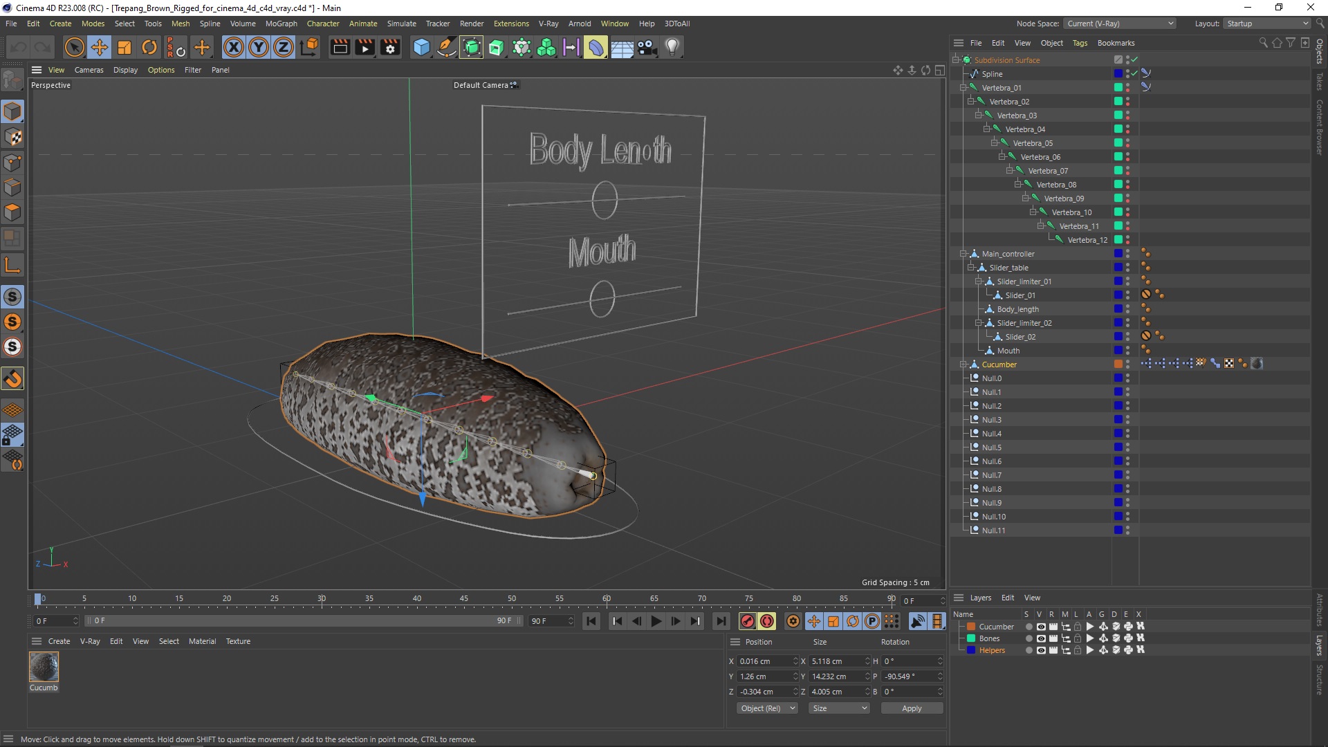 Trepang Brown Rigged for Cinema 4D 3D model