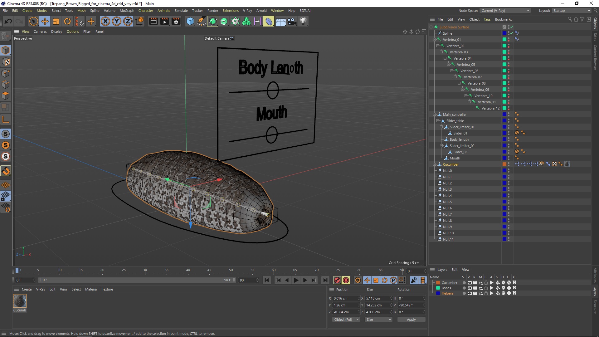 Trepang Brown Rigged for Cinema 4D 3D model