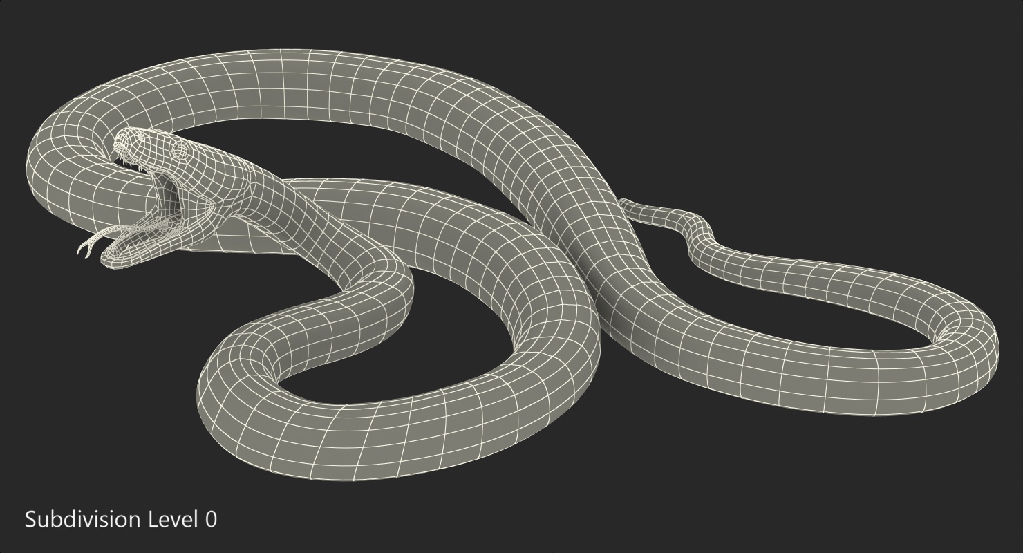 3D Yellow Python Snake Rigged