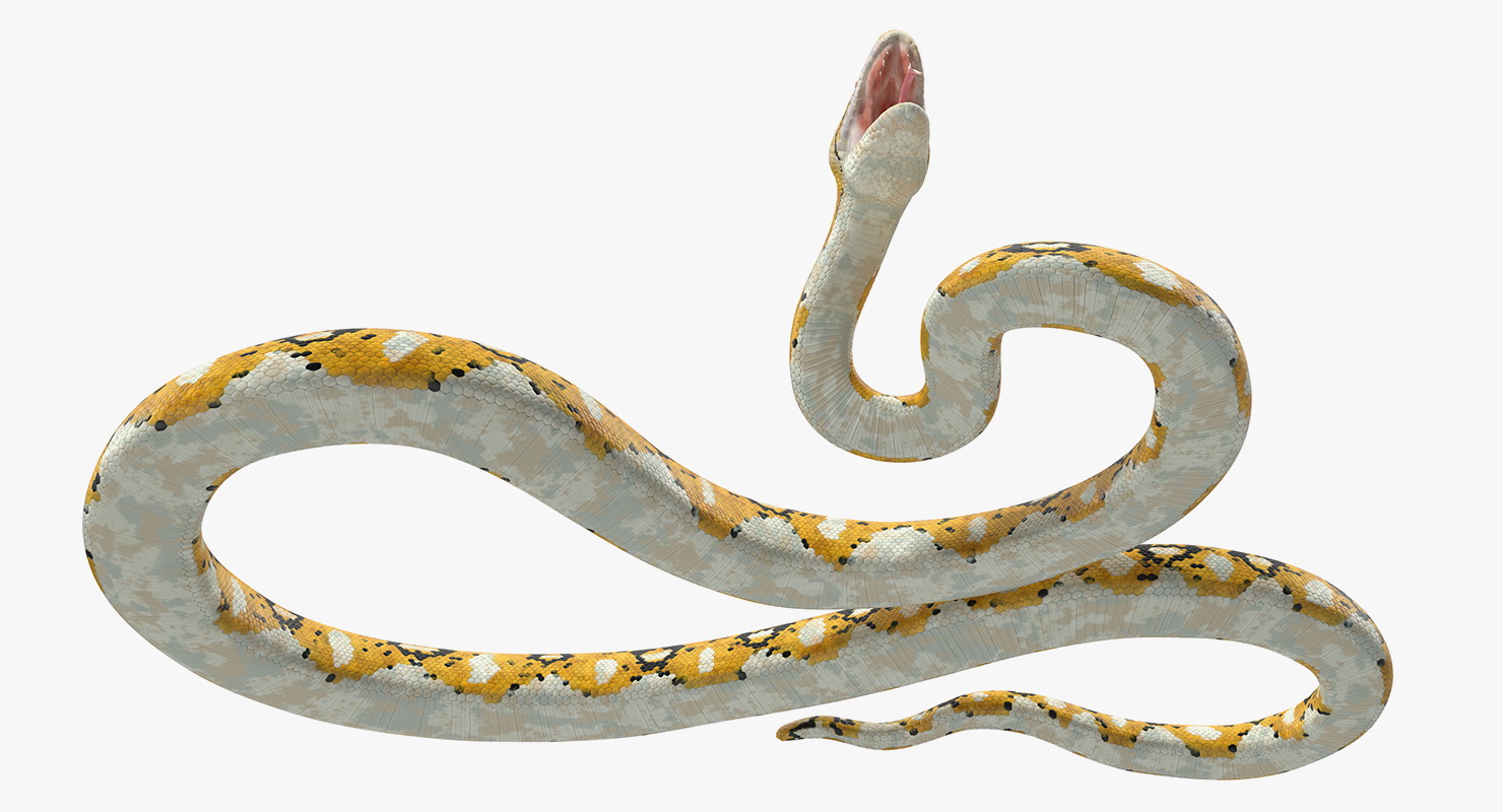 3D Yellow Python Snake Rigged