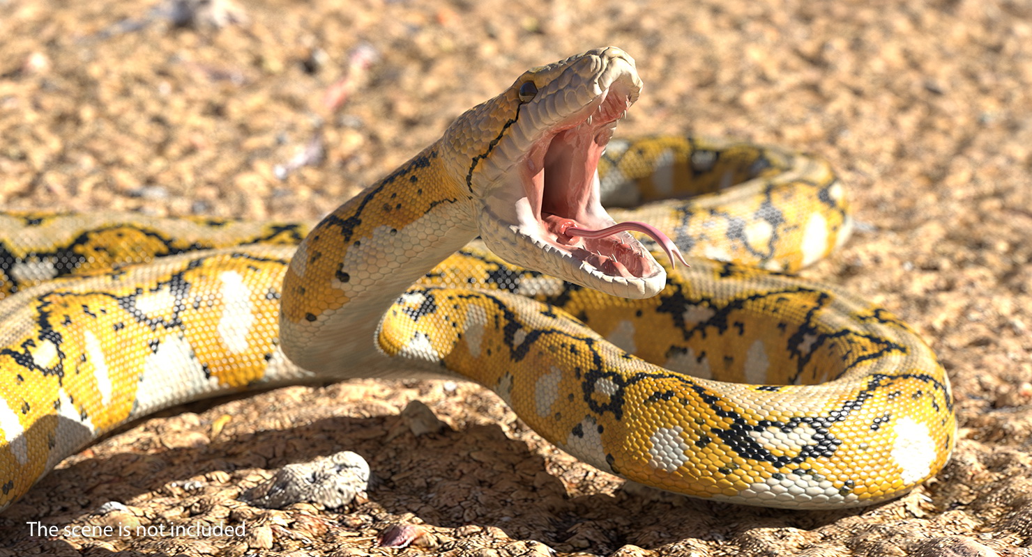 3D Yellow Python Snake Rigged