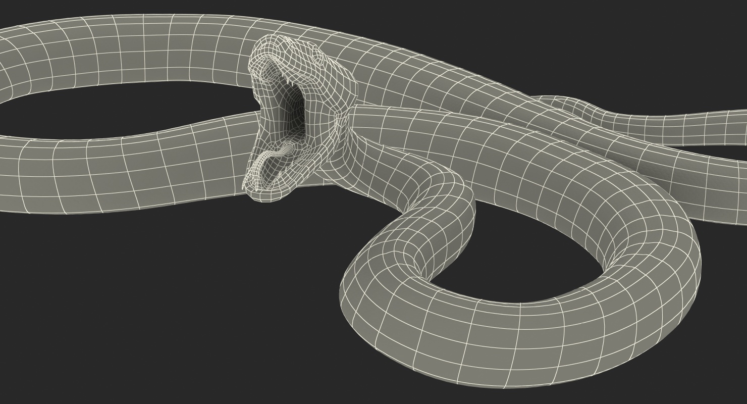 3D Yellow Python Snake Rigged