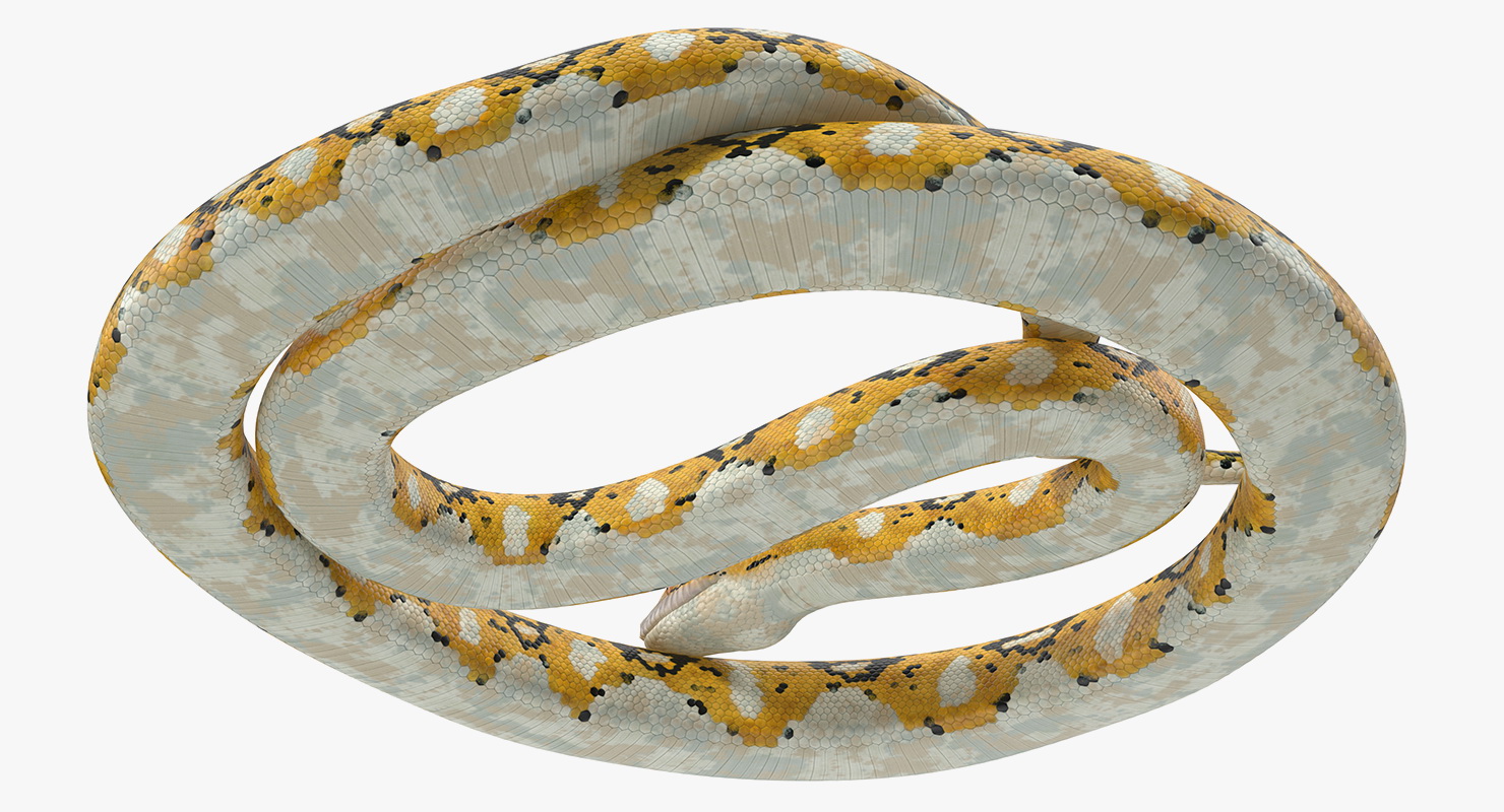 3D Yellow Python Snake Rigged