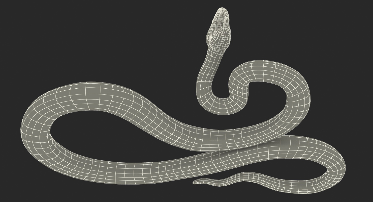 3D Yellow Python Snake Rigged