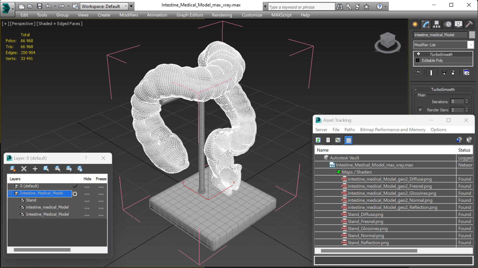 3D Intestine Medical Model model