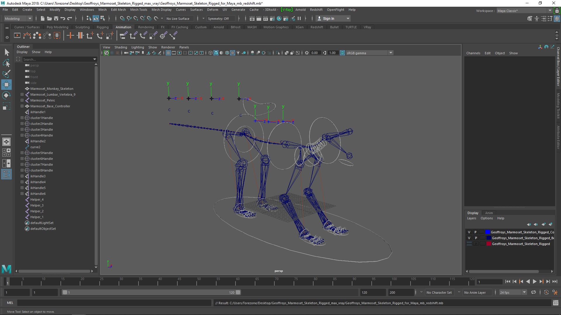 3D Geoffroys Marmoset Skeleton Rigged for Maya model