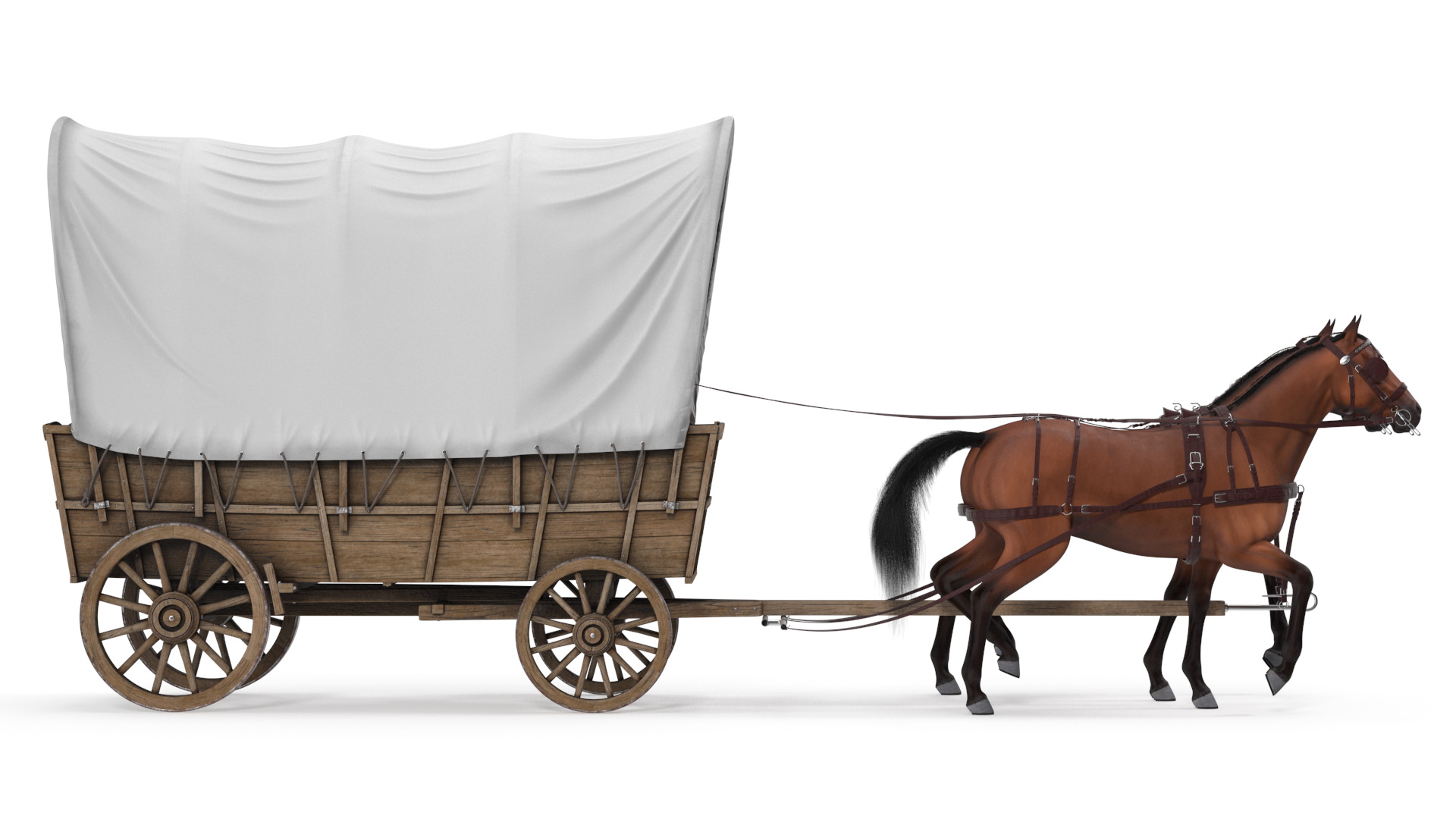 Covered Wagon with Horses fur 3D model