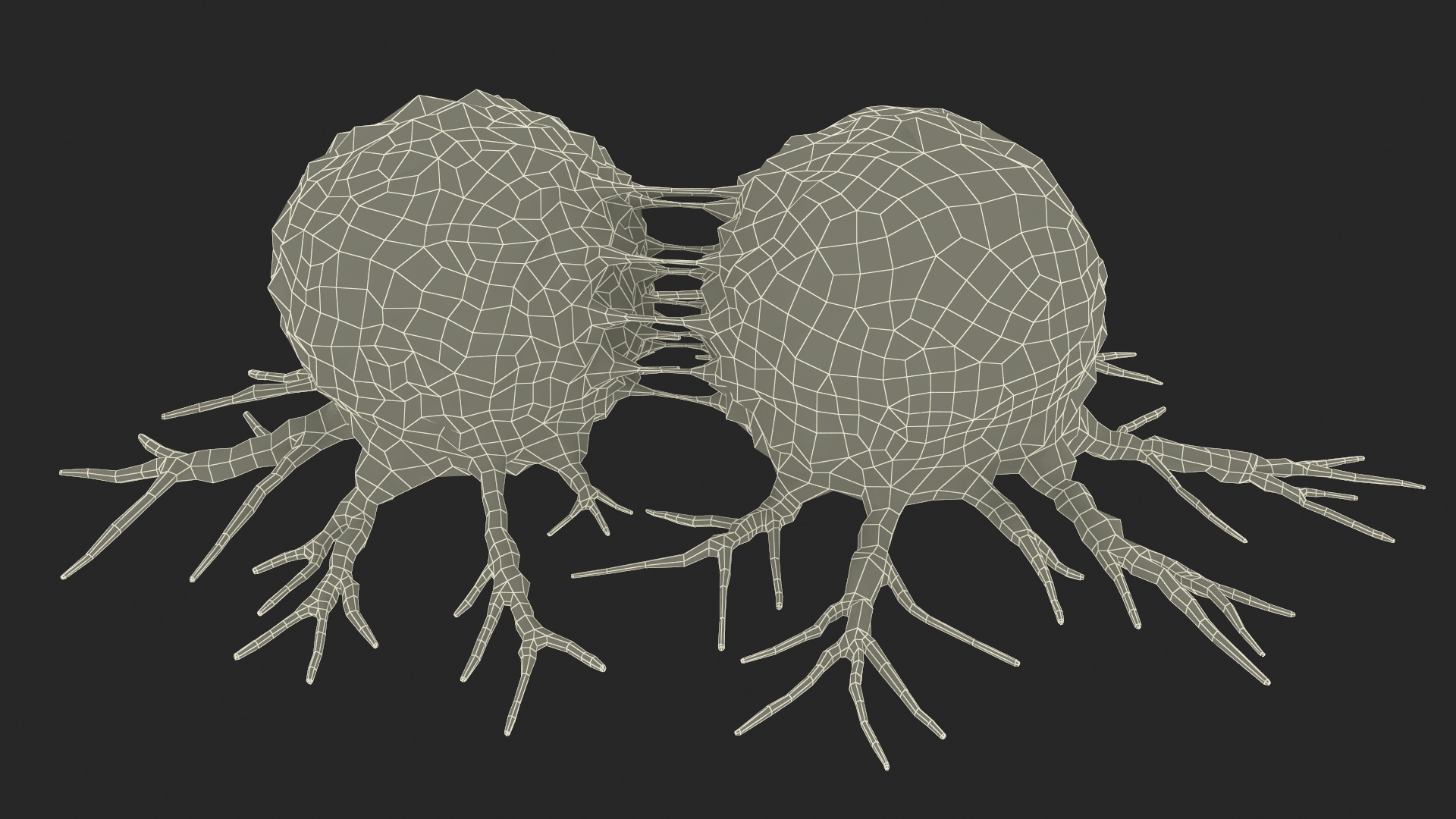 3D model Cancer Cell Dividing